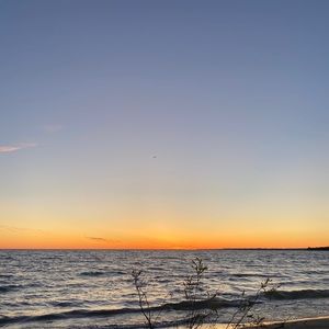 Meet your Posher, Joanie